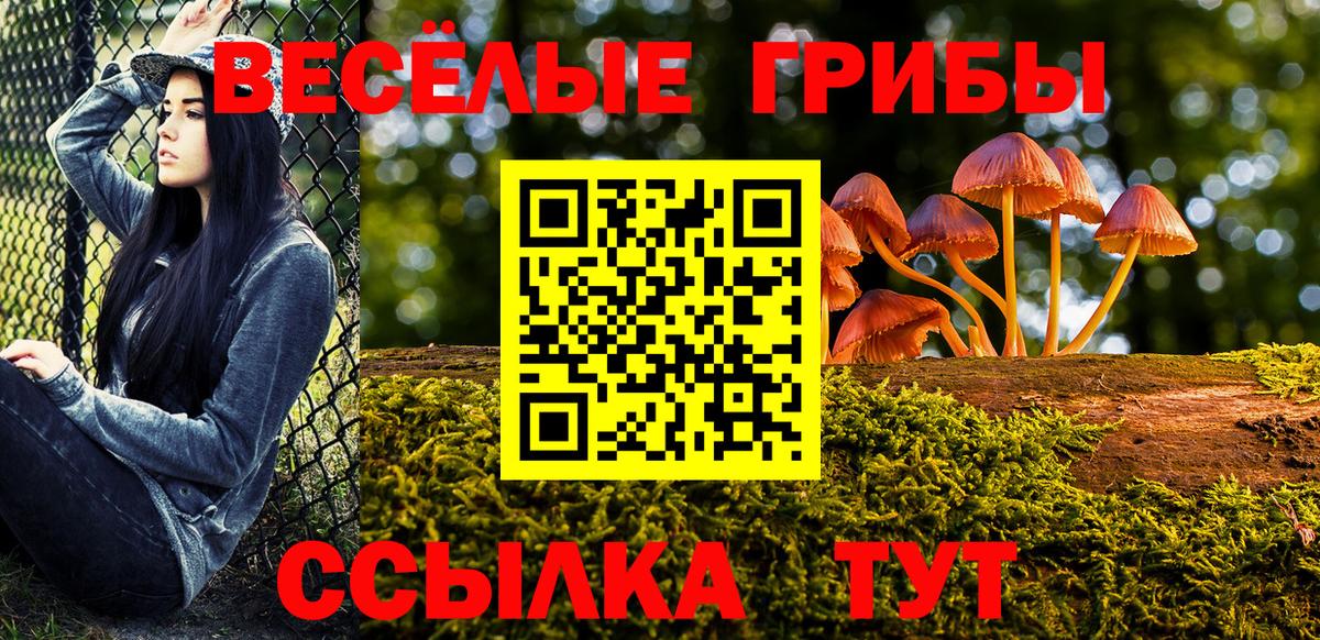 Псилоцибиновые грибы мицелий  Вход с VPN  Каменск-Шахтинский 